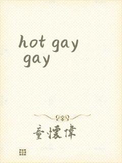 hot gay gay