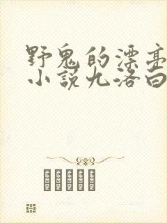 野鬼的漂亮妻子小说九洛白正版