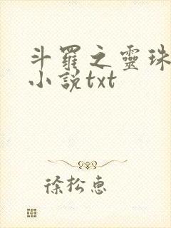 斗罗之灵珠神剑小说txt