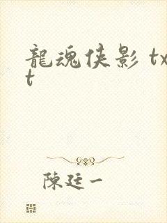 龙魂侠影 txt