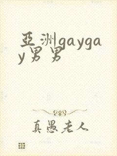 亚洲gaygay男男