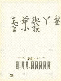 王爷与丫鬟的古言小说