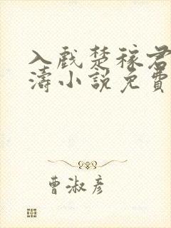 入戏楚稼君纪勇涛小说免费阅读封面