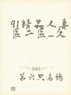 91精品人妻一区二区_久