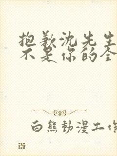 抱歉沈先生孩子不是你的全集免费封面