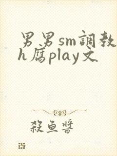男男sm调教高h腐play文