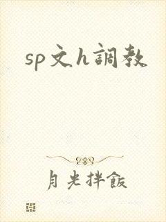 sp文h调教