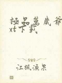 极品万岁爷 txt下载封面