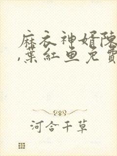 麻衣神婿陈黄皮,叶红鱼免费听书封面