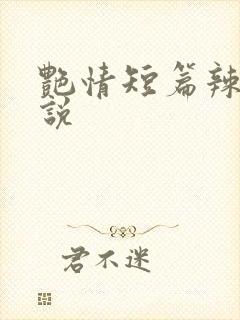艳情短篇辣文小说