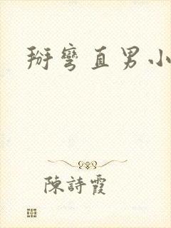 掰弯直男小说