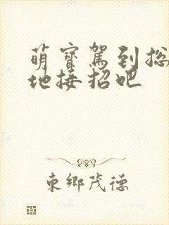 萌宝驾到总裁爹地接招吧
