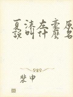 夏沫左豪原著小说叫什么名字