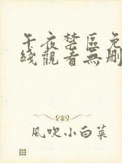午夜禁区免费在线观看无删减