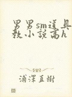 男男sm道具调教小说高h