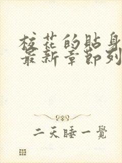 校花的贴身高手最新章节列表免费封面