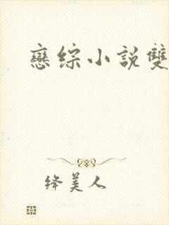 恋综小说双男主