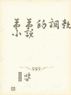 弟弟的调教日常小说