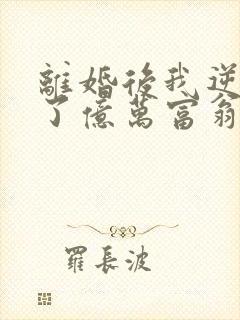 离婚后我逆袭成了亿万富翁封面