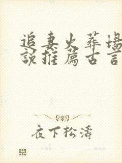 追妻火葬场的小说推荐古言