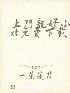 上门龙婿小说txt免费下载