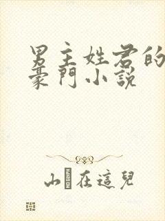 男主姓君的现代豪门小说