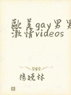 欧美gay男男激情videos