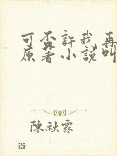 可否许我再少年原著小说叫什么名字