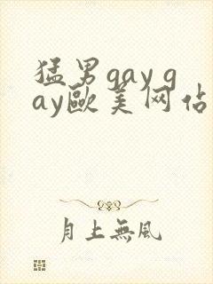 猛男gay gay欧美网站