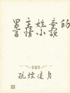 男主姓童的现代言情小说
