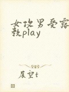 女攻男受露出调教play