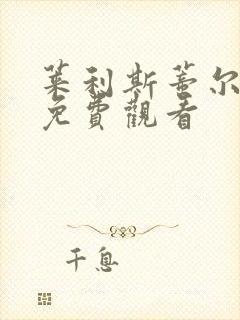 莱利斯蒂尔电影免费观看