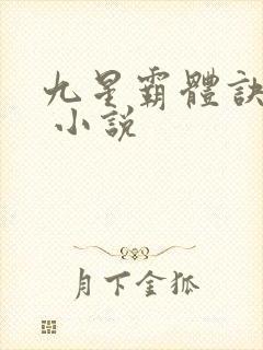 九星霸体诀龙尘 小说封面