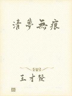 清梦无痕封面