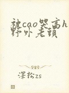 被cao哭高h野外老头封面