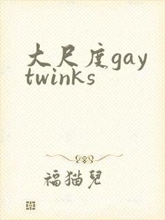 大尺度gay twinks