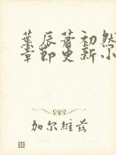 叶辰萧初然最新章节更新小说