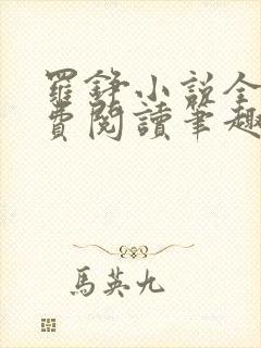 罗铮小说全文免费阅读笔趣阁封面