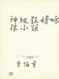 神级狂婿吻天的狼小说