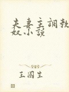 夫妻主调教夫妻奴小说封面