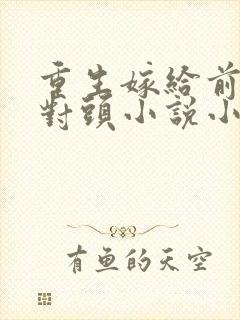 重生嫁给前夫死对头小说小说