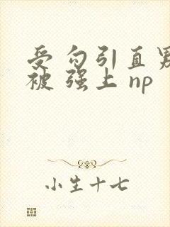 受 勾引直男 被 强上 np封面