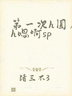 第一次h圆房～h嗯啊sp