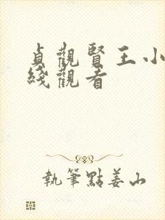 贞观贤王小说在线观看