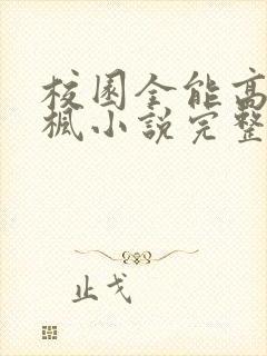 校园全能高手季枫小说完整版txt