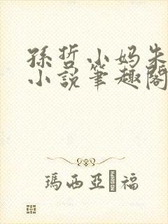 孙哲小妈朱颜的小说笔趣阁