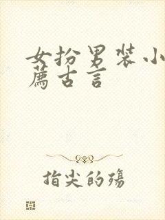 女扮男装小说推荐古言