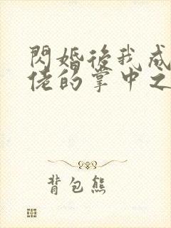 闪婚后我成了大佬的掌中之物网剧