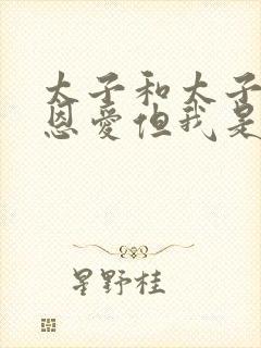 太子和太子妃很恩爱但我是太子侧妃