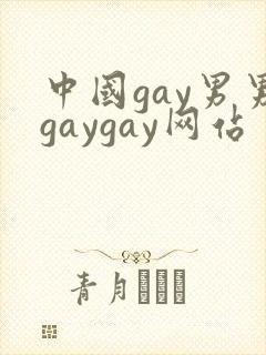 中国gay男男gaygay网站